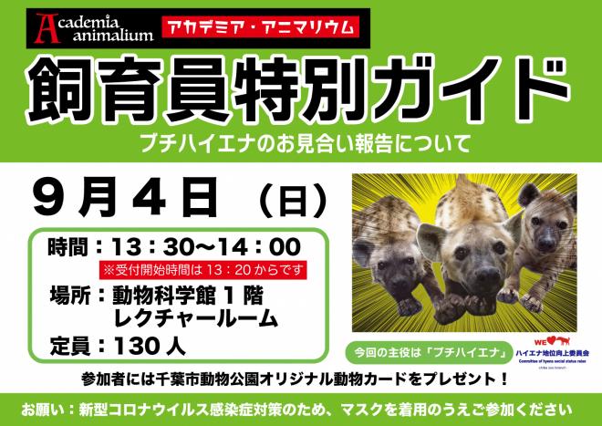 ブチハイエナ