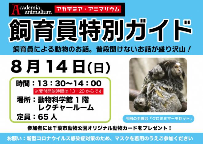 アカデミア