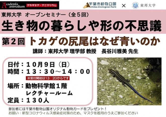 アカデミア東邦大学 2