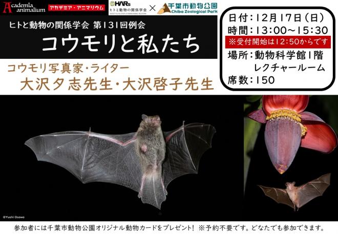 コウモリ