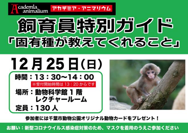 飼育ガイド