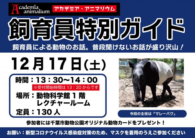 マレーバク