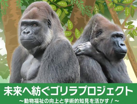 ゴリラクラファンポスター切り抜き