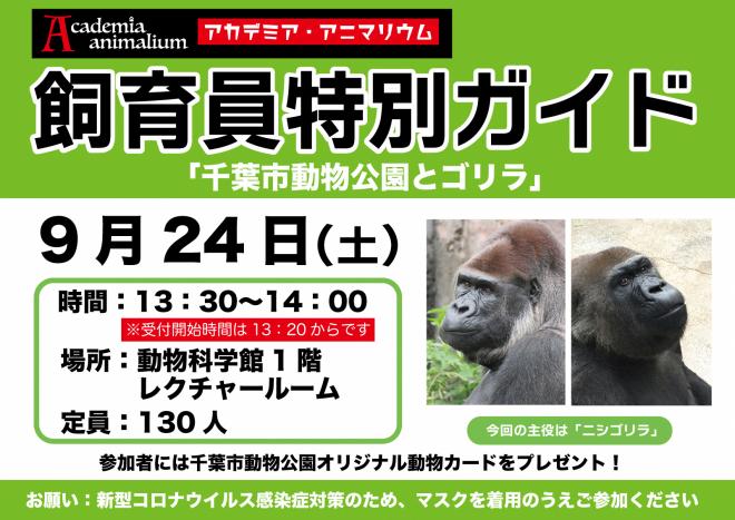ゴリラ講演0924