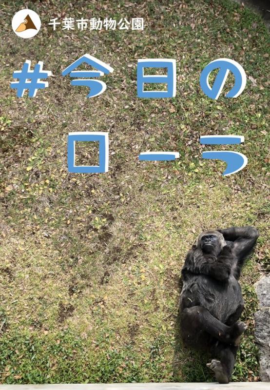 写真集