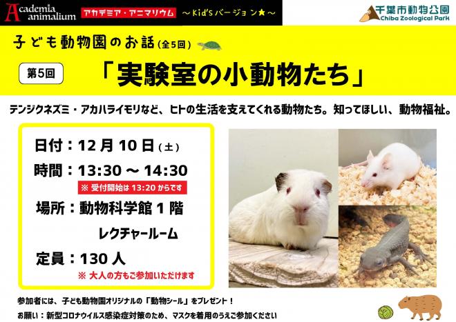 第5回ギルドアカデミア最終版