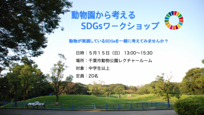 SDGs