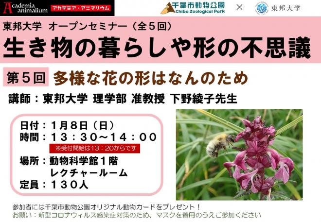 東邦大オープンセミナー第5回