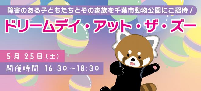 ドリームデイ画像2024