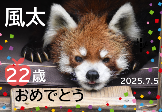 風太22歳