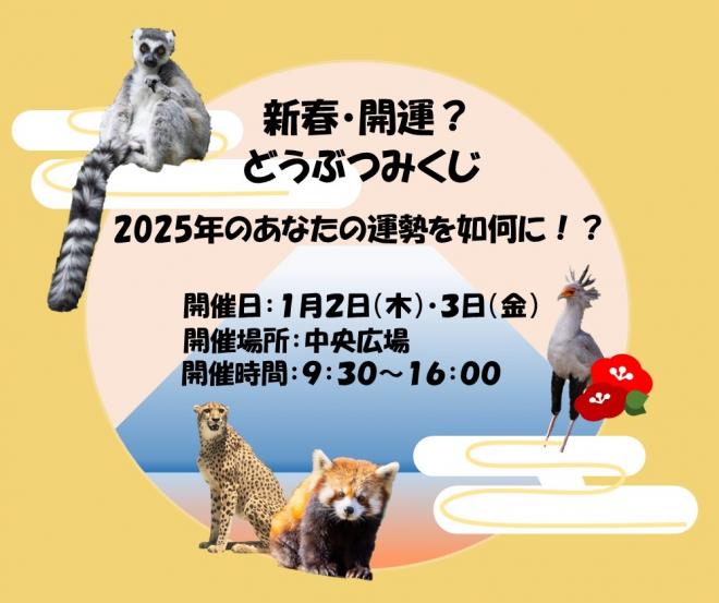 おみくじ