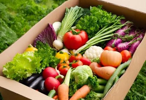 野菜詰め合わせイメージ