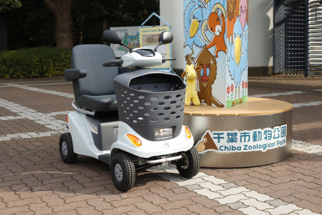 シニアカー