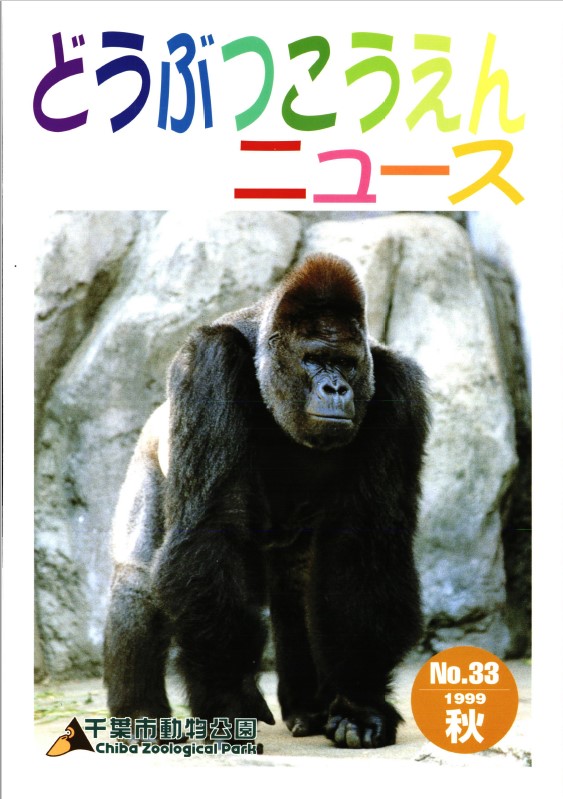 No33