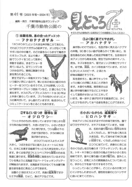 見どころ7＋41号