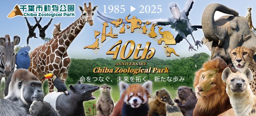 40周年バナー（動物）