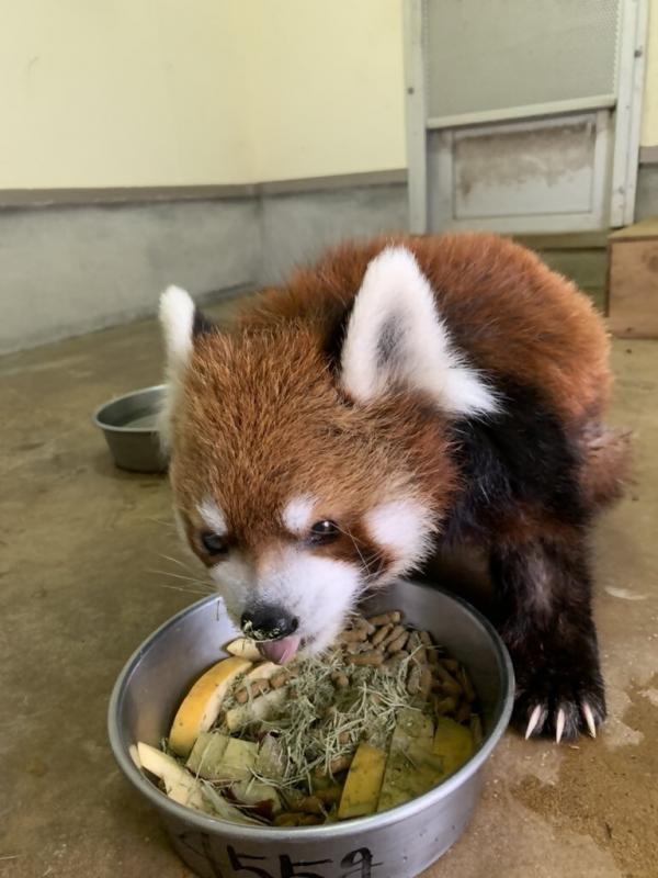 風太