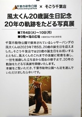 20230704-1