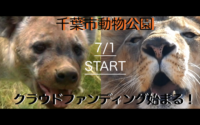 クラファンPV