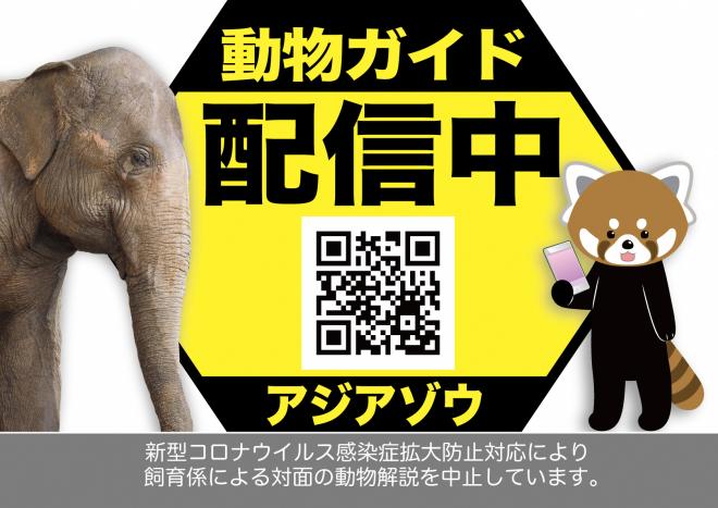 動物解説像