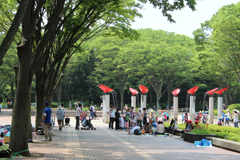 動物公園