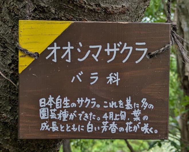 木札１