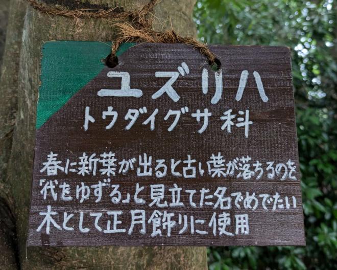 木札2