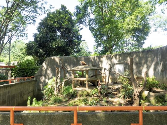 アカハナグマ展示場
