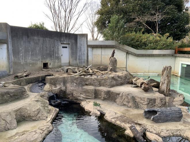 コツメカワウソ舎