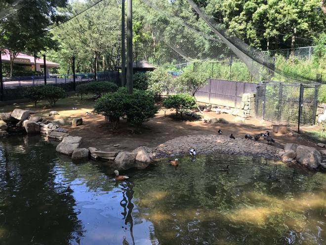 水禽池