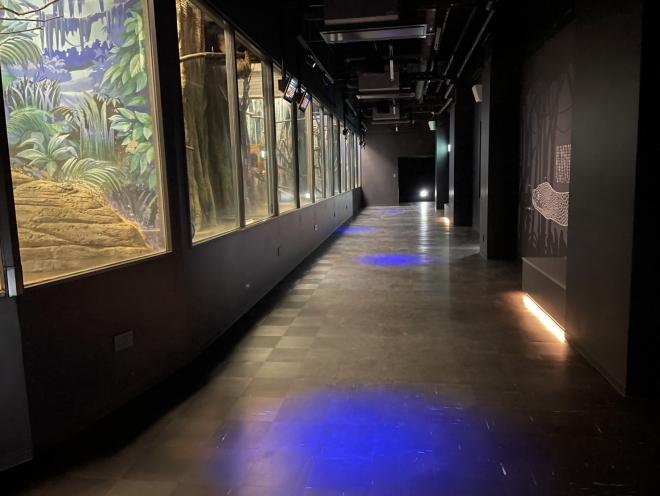 科学館１F夜行性獣