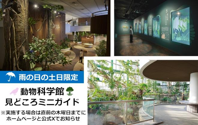 雨の土日ミニガイドバナー