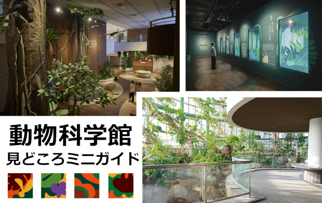 動物科学館見どころミニガイドバナー
